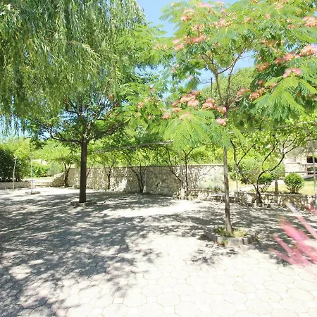 Guest house Alex 3*