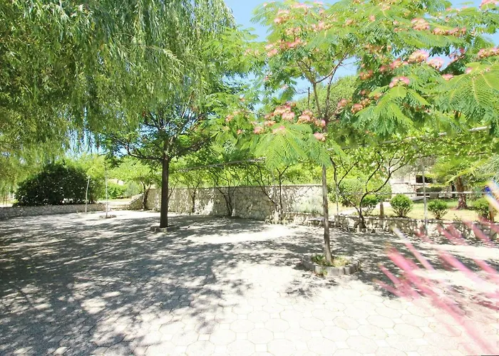 بيت ضيافة Alex 3*